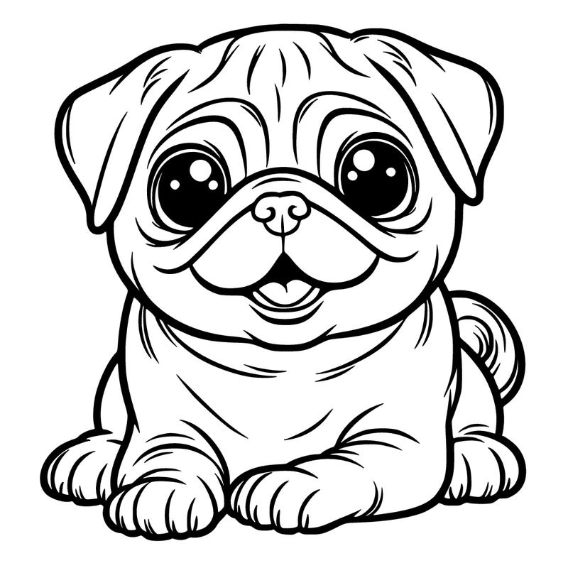 pug