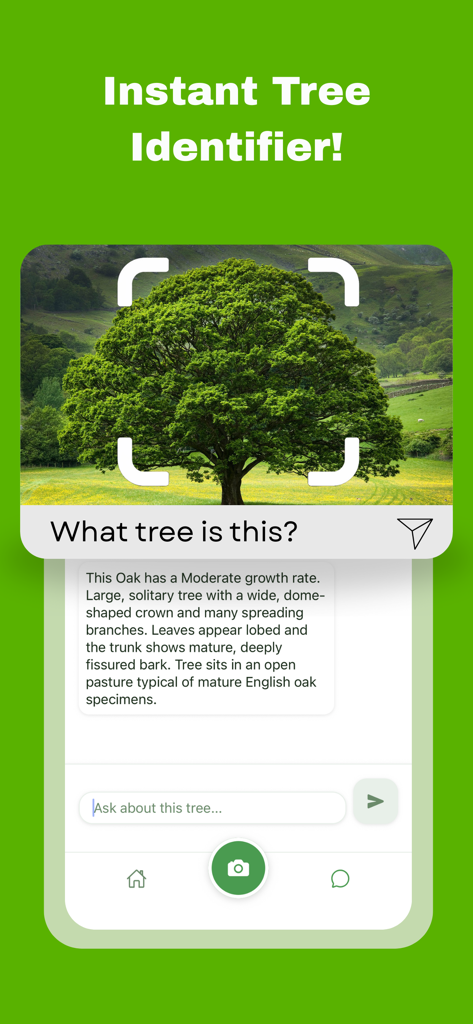 Tree Identifier: AI Scan - Interfaz de la aplicación Identificador de Árboles que muestra un roble escaneado y un chat de IA que proporciona información detallada de la especie