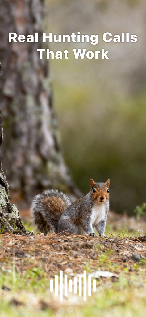 Hunting Calls: Squirrel - A squirrel sitting at the base of a tree in the woods with text overlay saying Real Hunting Calls That Work.