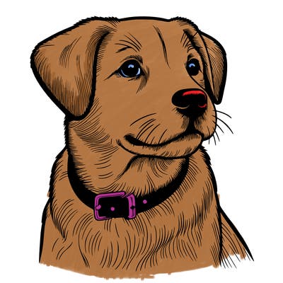 dog realistic