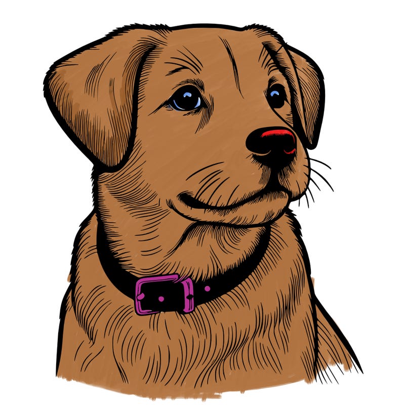 dog realistic