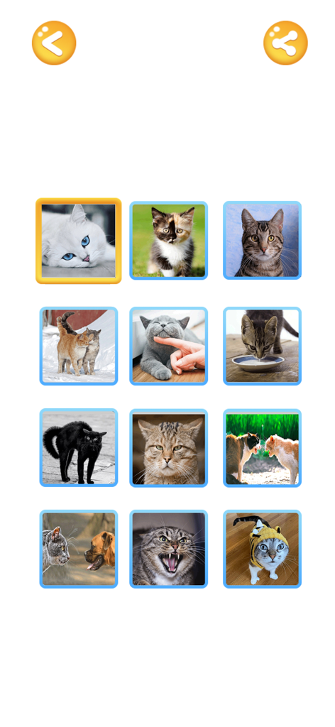 Cat Translator: Cat to Human - A grid of cat photos showing different moods and behaviors used to trigger sounds in the app