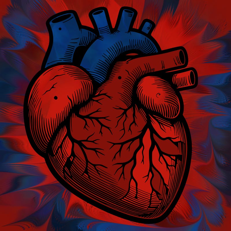 realistic heart