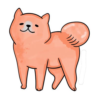 animals_29
