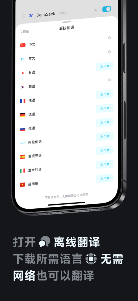 Interface of the Para Translation app showing a list of various languages available for offline download