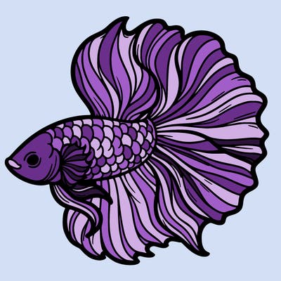 betta fish