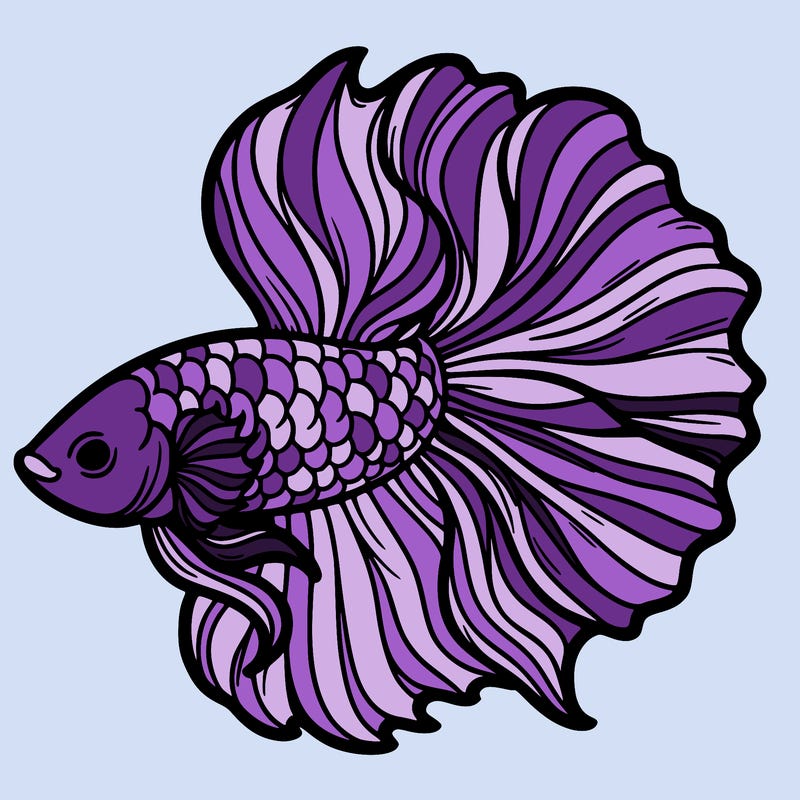 betta fish