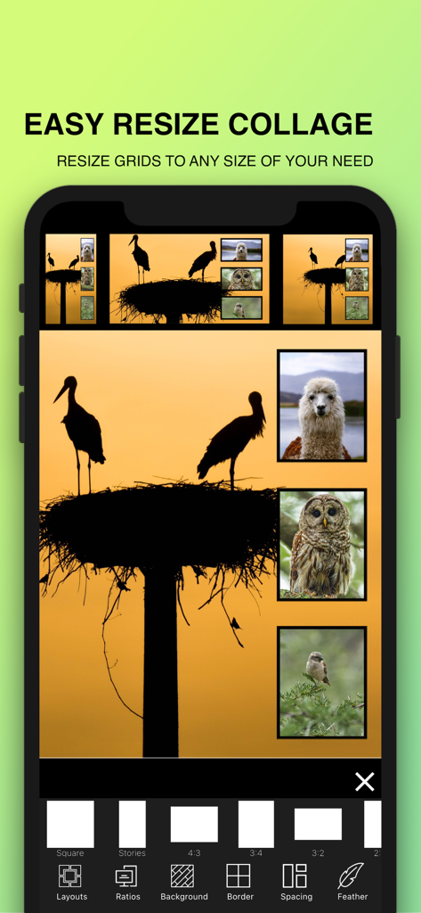 Photo Collage Maker : Pic Grid - Una pantalla de aplicación móvil que muestra opciones para cambiar el tamaño de un collage de fotos a diferentes relaciones de aspecto como Cuadrado e Historias.