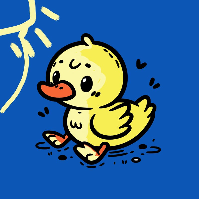 cute duck