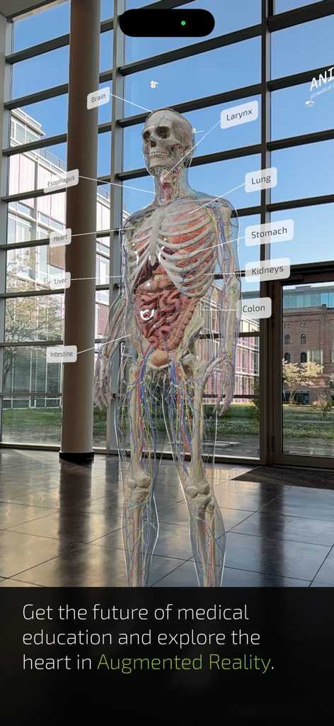 INSIGHT HEART - An augmented reality 3D human body model showing internal organs with anatomical labels like heart, lung, and brain in a modern setting