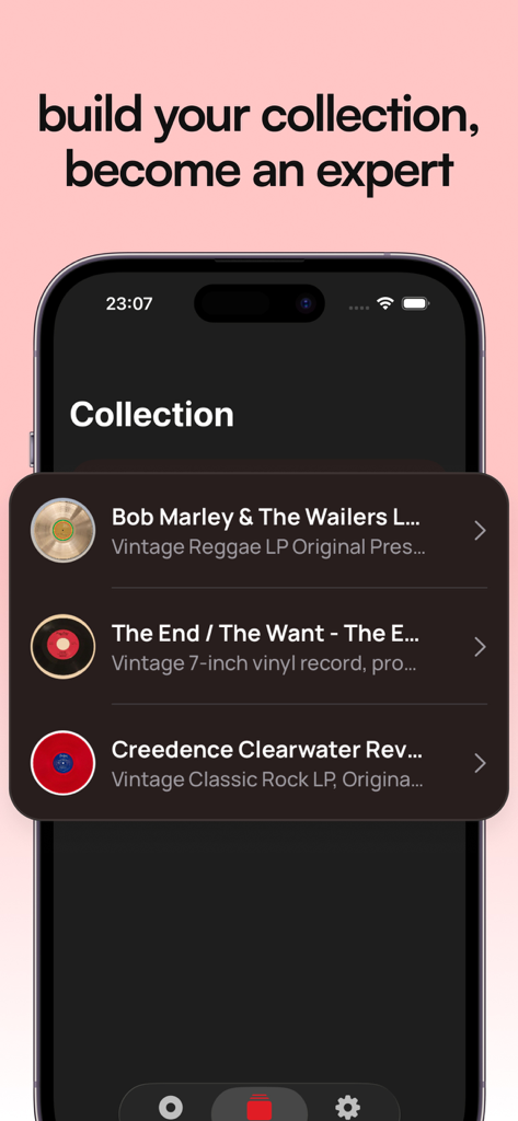 Vinyl Snap - The Vinyl Snap mobile app screen displaying a list of cataloged vinyl records.