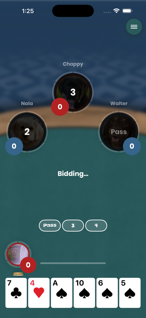 iPitch - The bidding interface of the iPitch card game app featuring personalized player icons and a hand of cards.