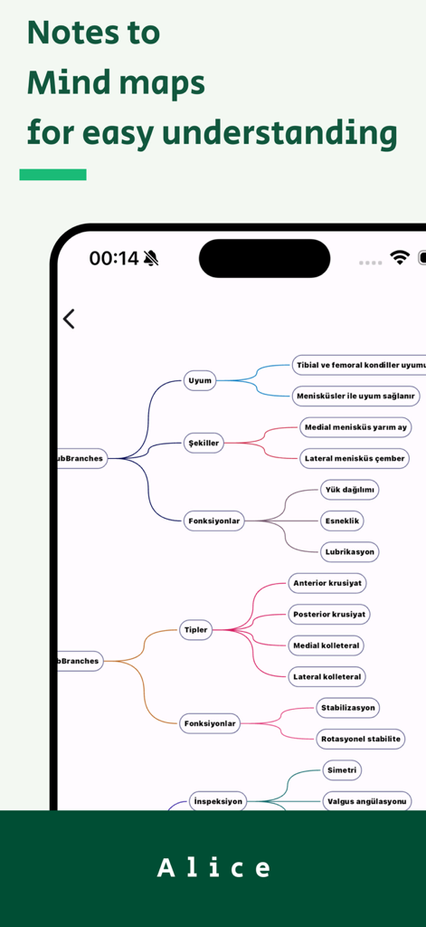 Alice: AI Note - Mind Map - Alice AI app interface displaying a complex mind map converted from notes for visual learning