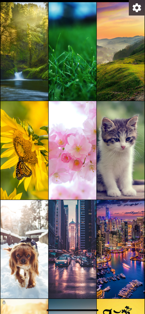 Kappboom - Cool Wallpapers - A grid display of high-quality wallpapers in the Kappboom app featuring nature, animals, and cityscapes.
