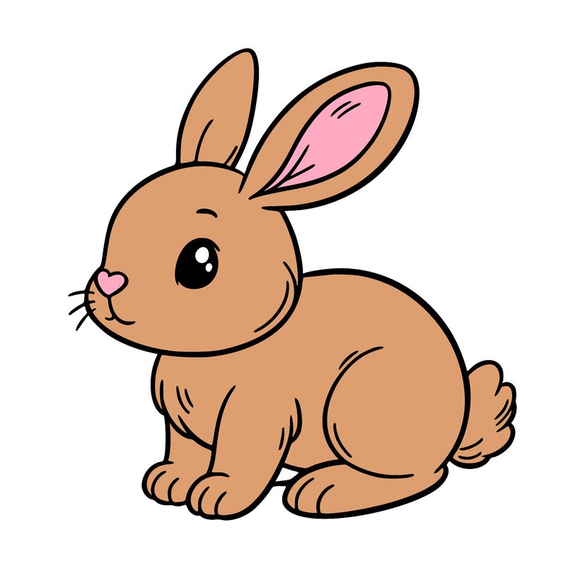 bunny