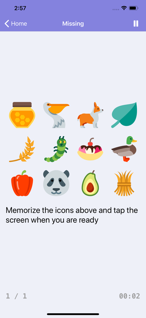 Brainilis memory training game screen showing a grid of colorful icons to memorize for cognitive exercise