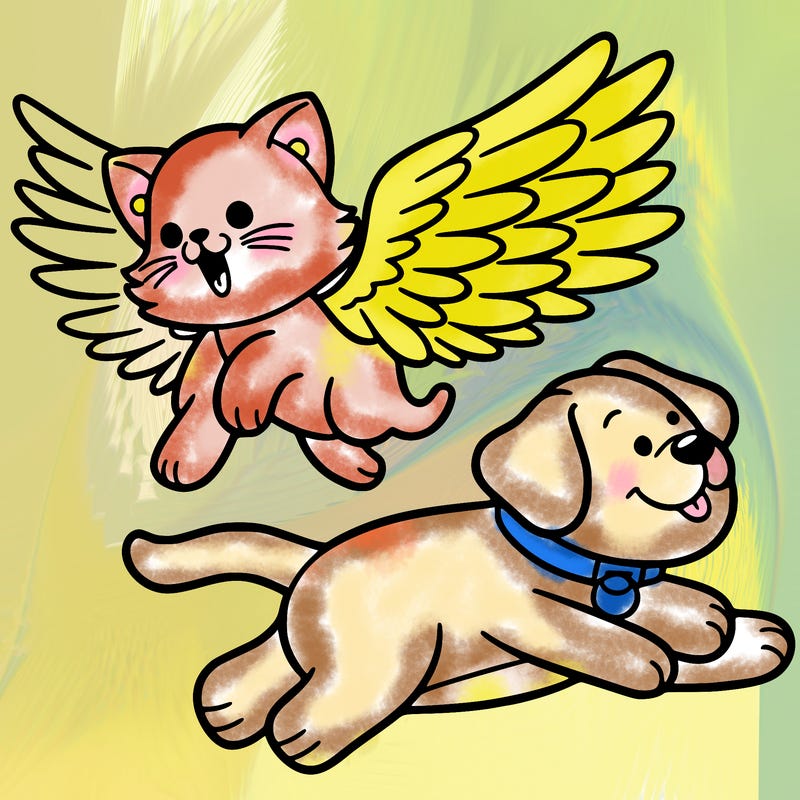 cat with wings flying alongside a dog with wings