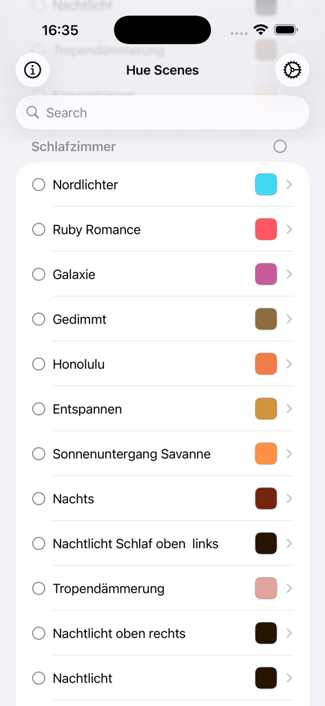 A list of Philips Hue lighting scenes like Northern Lights and Galaxy in the Home Hue Scene Importer app interface.