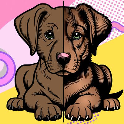 realistic dog split picture