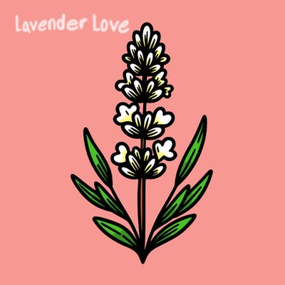 lavender flower