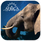 Real Elephant Simulator Game 3D