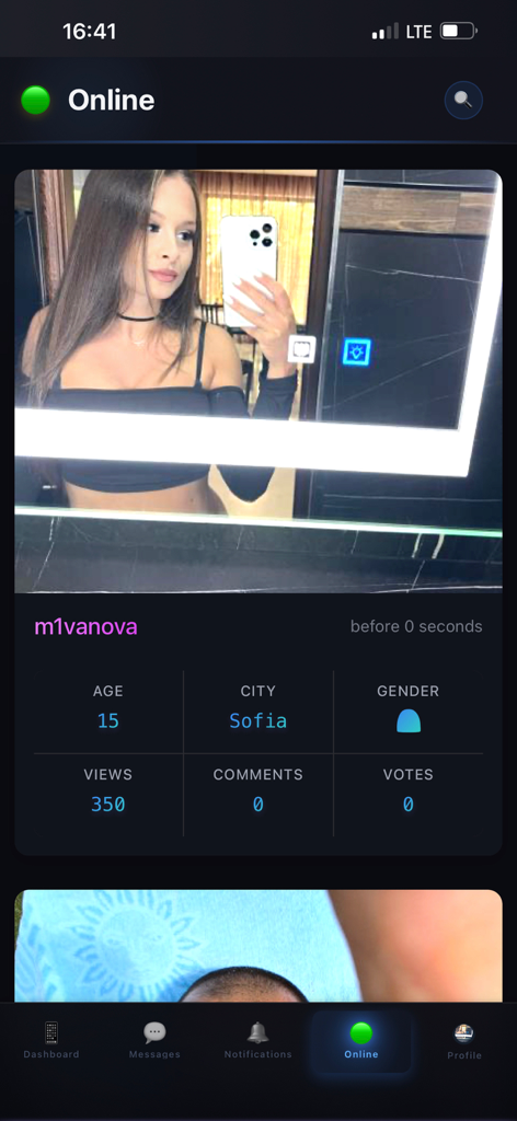 Interface of the ChatNet app showing a user profile with city and age information in the online section
