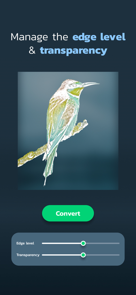 Interface for managing edge level and transparency of a bird image for tracing