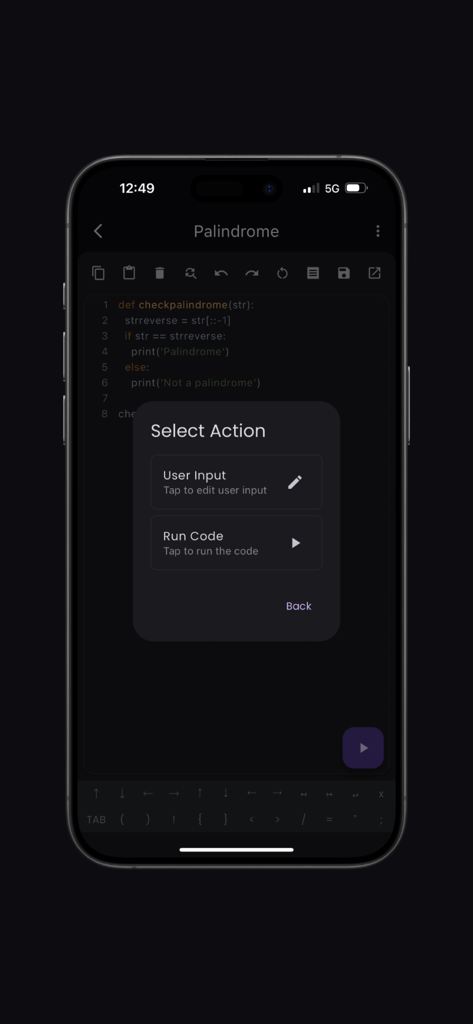 Python‎ Compiler - App mobile Compilatore Python che visualizza uno snippet di codice palindromo con un menu di azioni per eseguire il codice o inserire input utente