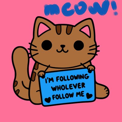 cat with a sign that says i’m following whoever follows me