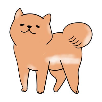 animals_29