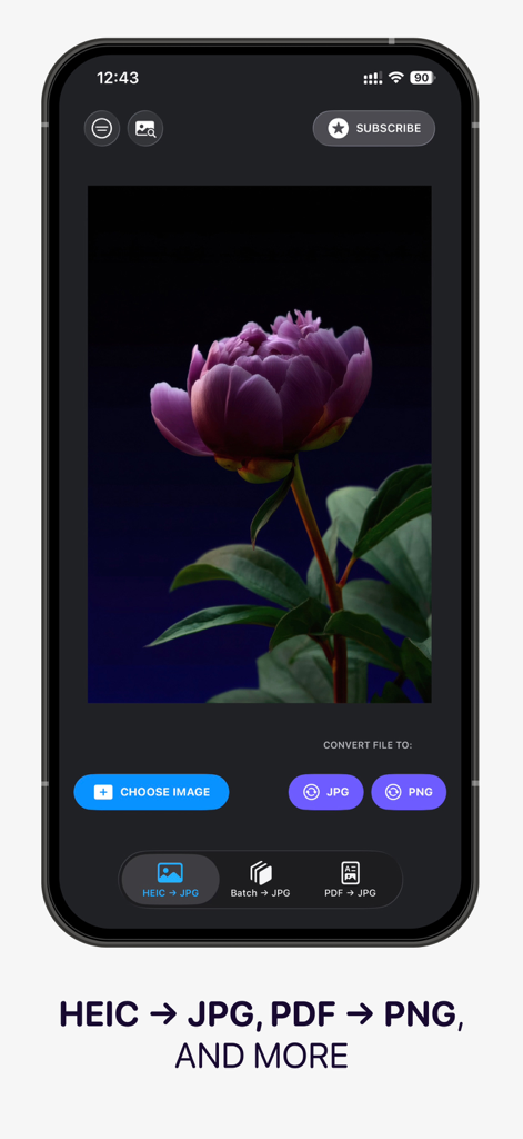 JPG Converter: HEIC, PDF, RAW - Mobile app interface showing image conversion options from HEIC to JPG and PDF to PNG