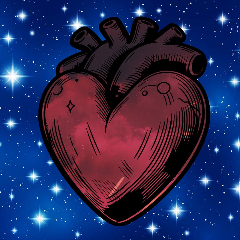 realistic heart