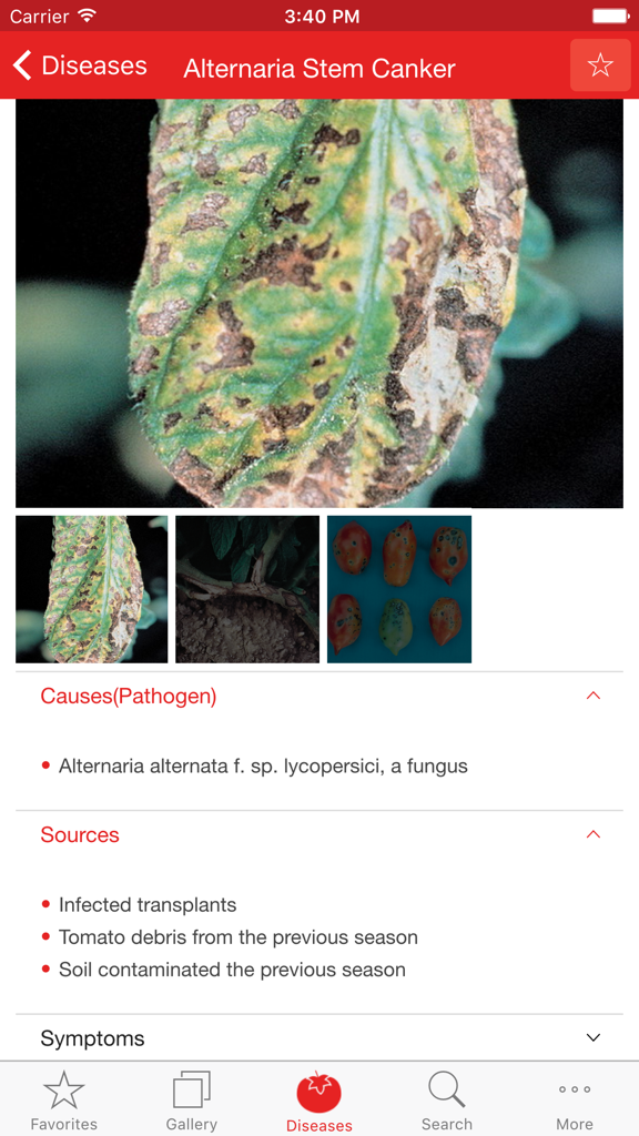 Tomato MD - Tomato MD app displaying symptoms and causes for Alternaria Stem Canker