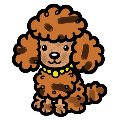 poodle