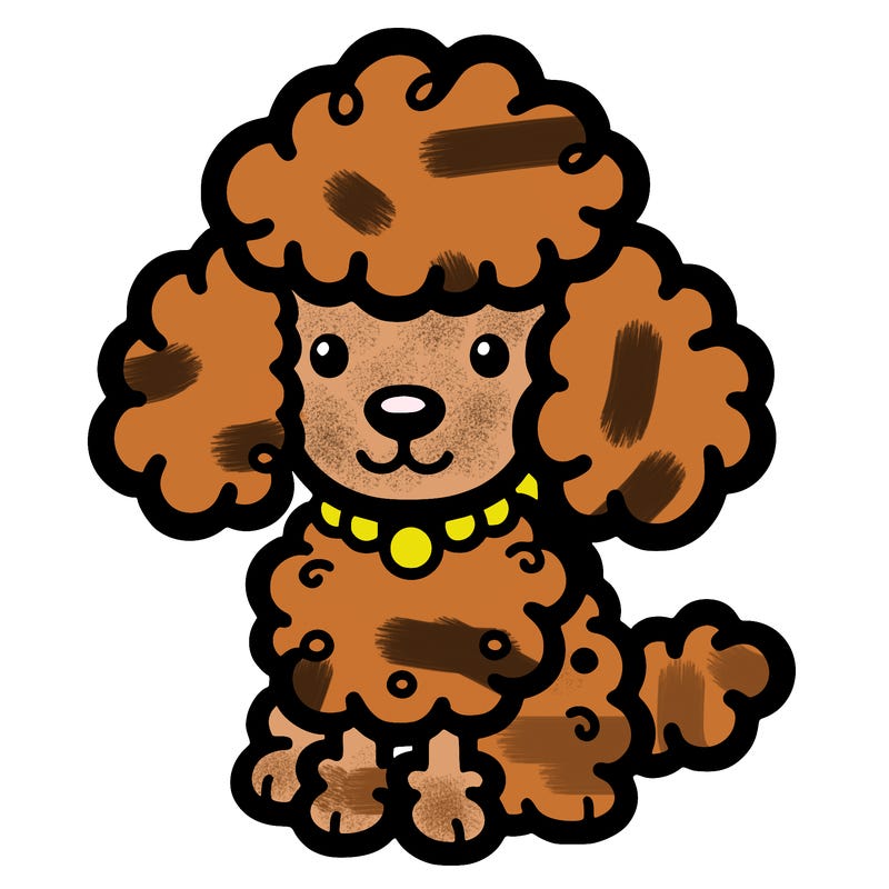 poodle