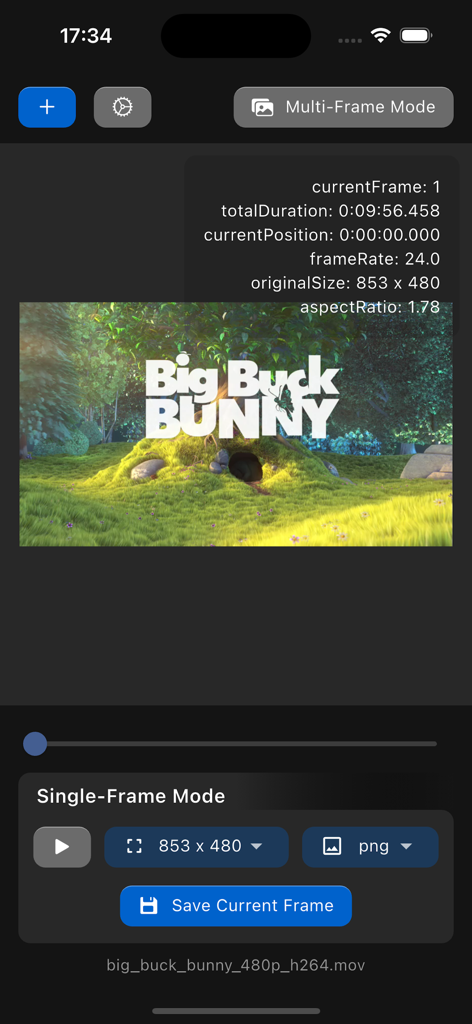 Video Frame Extractor - Interfaccia dell'app mobile Video Frame Extractor che mostra la modalità fotogramma singolo con metadati video e opzioni di salvataggio.