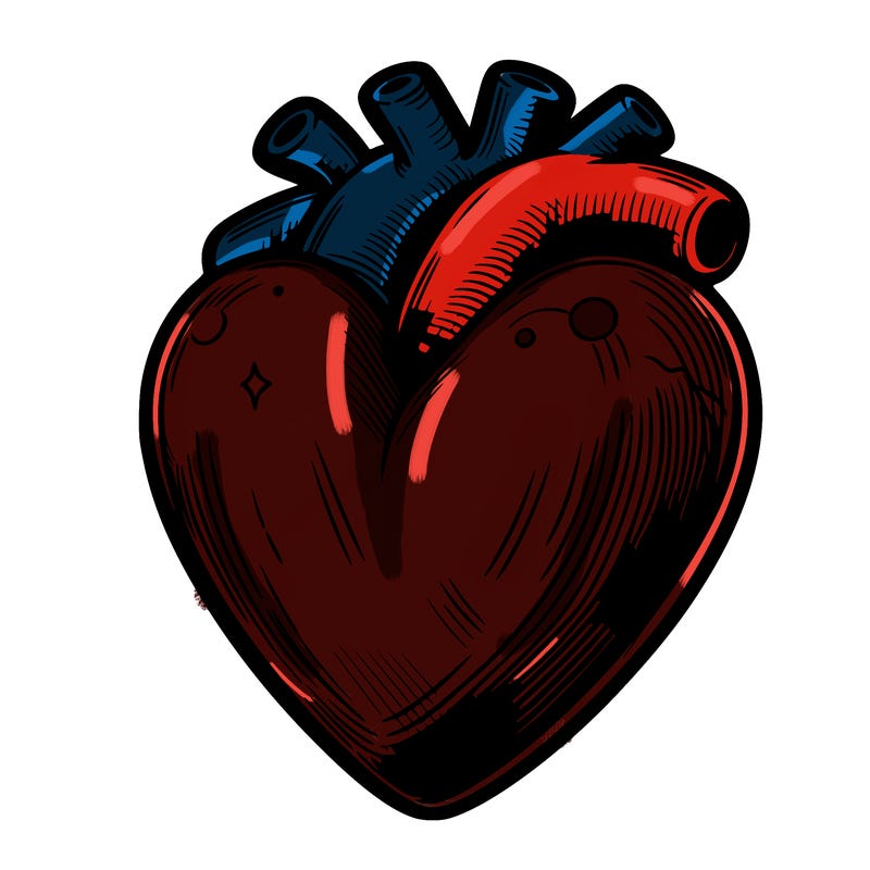 realistic heart