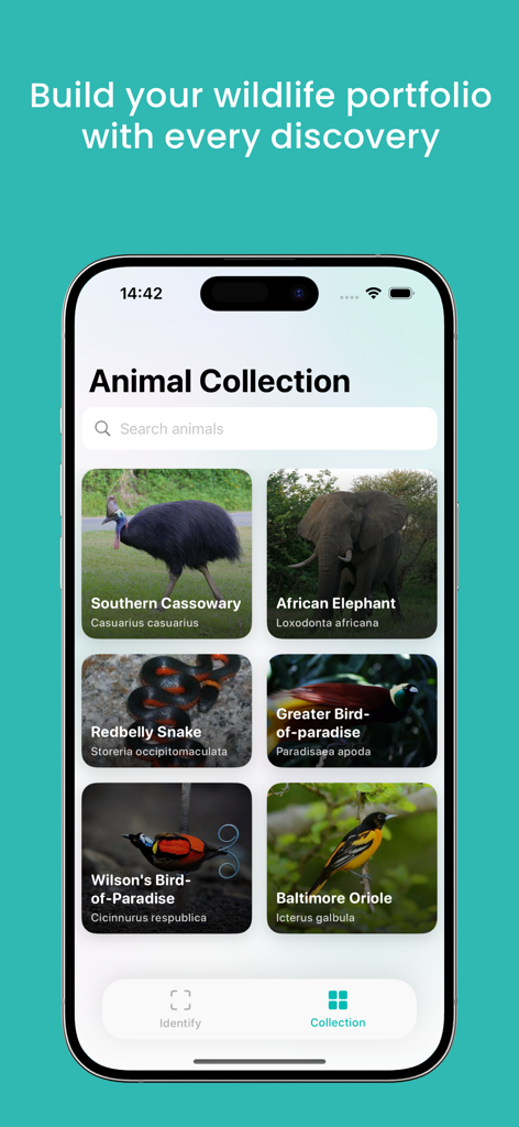 Animal AI - animal identifier - Interface do aplicativo Animal AI exibindo uma coleção pessoal de espécies de vida selvagem identificadas