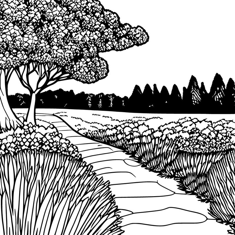 grassy land