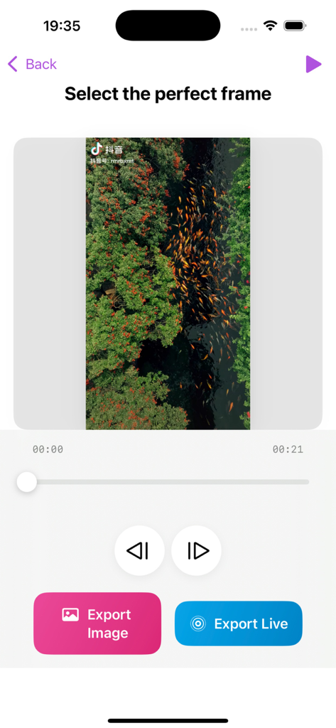 Video Frame Capture Pro - Interfaz de usuario de la aplicación Video Frame Capture Pro que muestra una pantalla de selección de fotogramas de vídeo con botones para exportar imagen y exportar live photo.