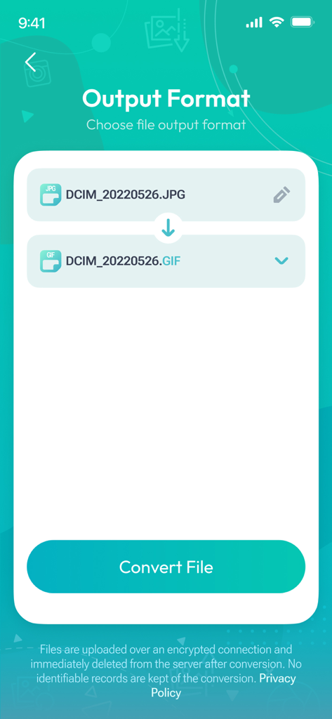 Interface of the Image Converter app showing the selection of GIF as the output format for a JPG image