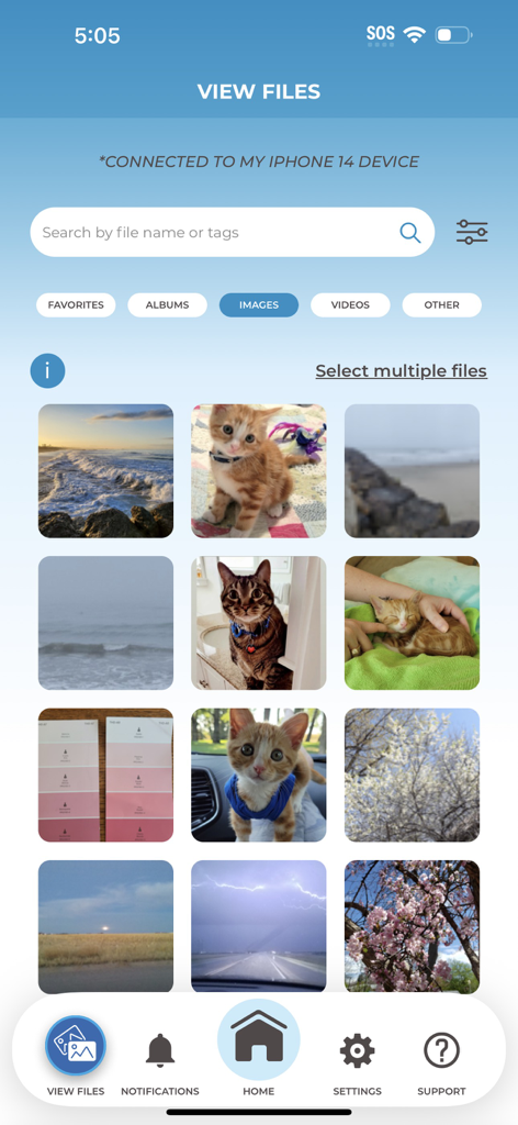 Tela do aplicativo móvel ThePhotoStick Omni mostrando uma galeria de fotos de gatos e paisagens conectadas a um iPhone.