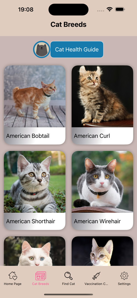 Cats World - Interfaz de aplicación móvil que muestra una galería de diferentes razas de gatos y un botón de guía de salud