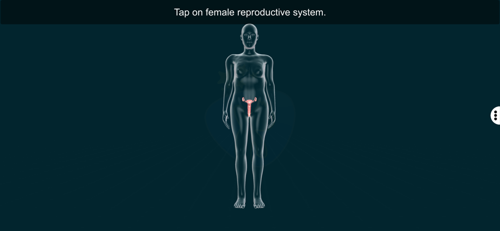 Female Repro Sys - EduTech Era - An interactive 3D model of the female reproductive system within a human body silhouette for educational purposes