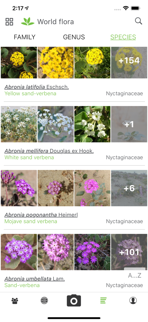 PlantNet - PlantNet app interface showing a list of plant species with scientific names and photos for world flora identification
