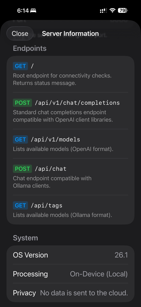 Pantalla de información del servidor mostrando puntos finales de API y estado de procesamiento local para la aplicación Local LLM Server