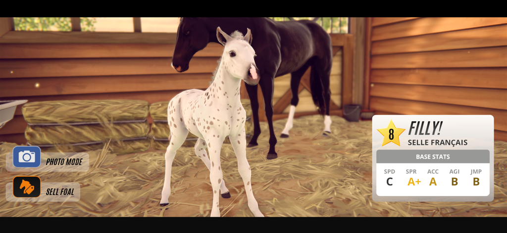 Um potro com manchas brancas e sua mãe em um estábulo com estatísticas de criação no Rival Stars Horse Racing.