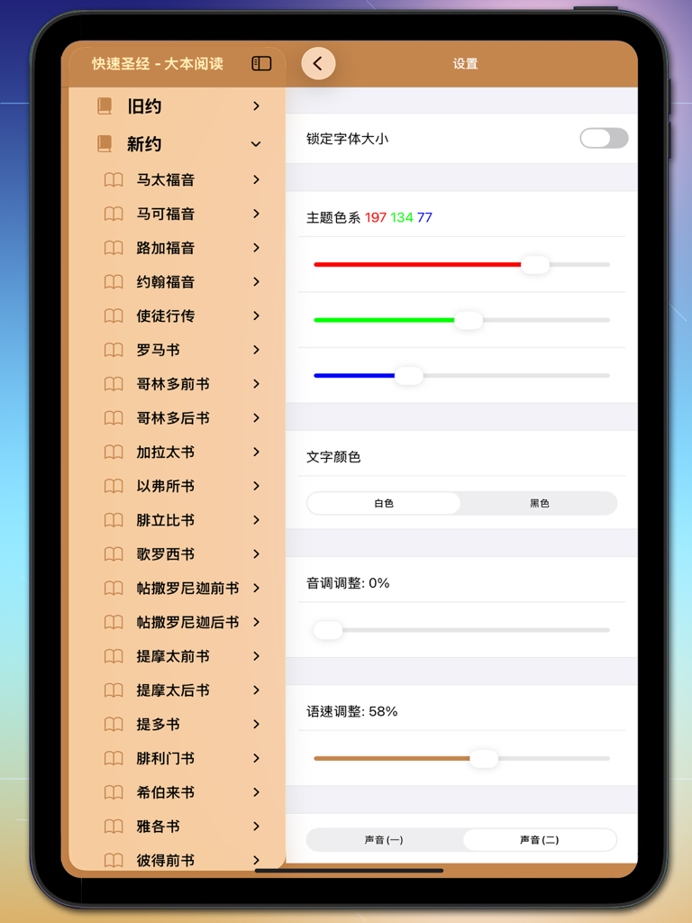 Settings screen of the Quick Bible app on iPad showing customization options for theme colors, text colors, and audio playback speed.
