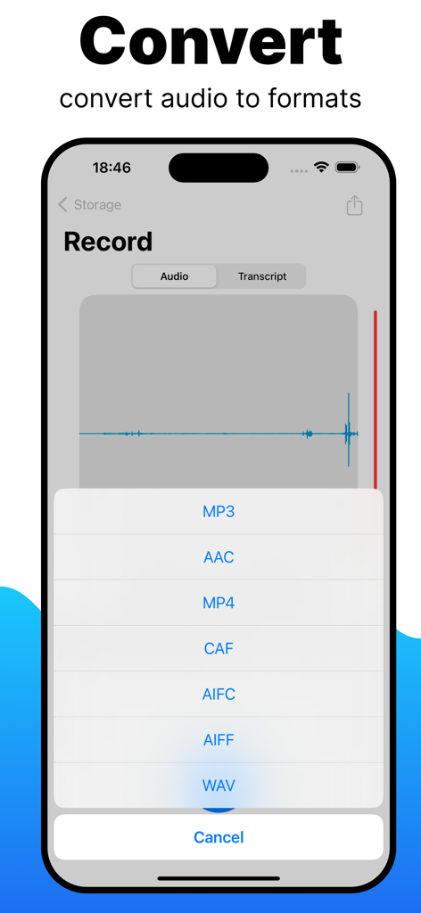 Voice Memos App - A screen from the Voice Memos App showing multiple audio format conversion options including MP3 and WAV
