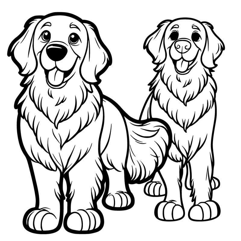 golden retriever